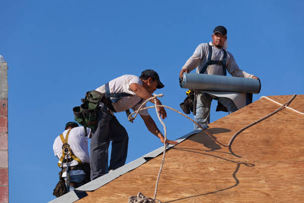 Best Commercial Roof Installation  in Selbyville, DE